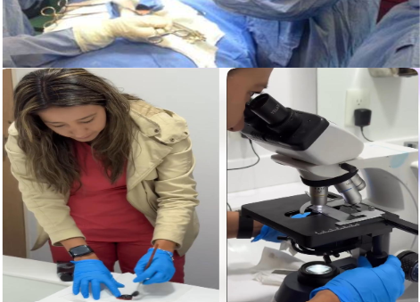 Patología Quirúrgica